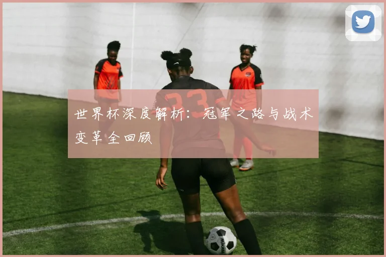 世界杯深度解析：冠军之路与战术变革全回顾