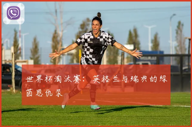 世界杯淘汰赛：英格兰与瑞典的绿茵恩仇录