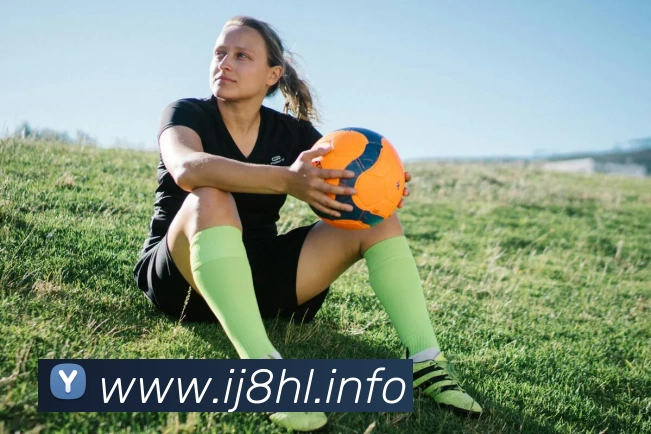 九游网页版入口官网平台生态图